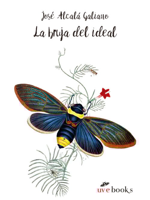 La bruja del ideal